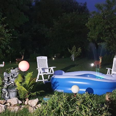 Апартаменти Casa Ella Сігішоара Екстер'єр фото