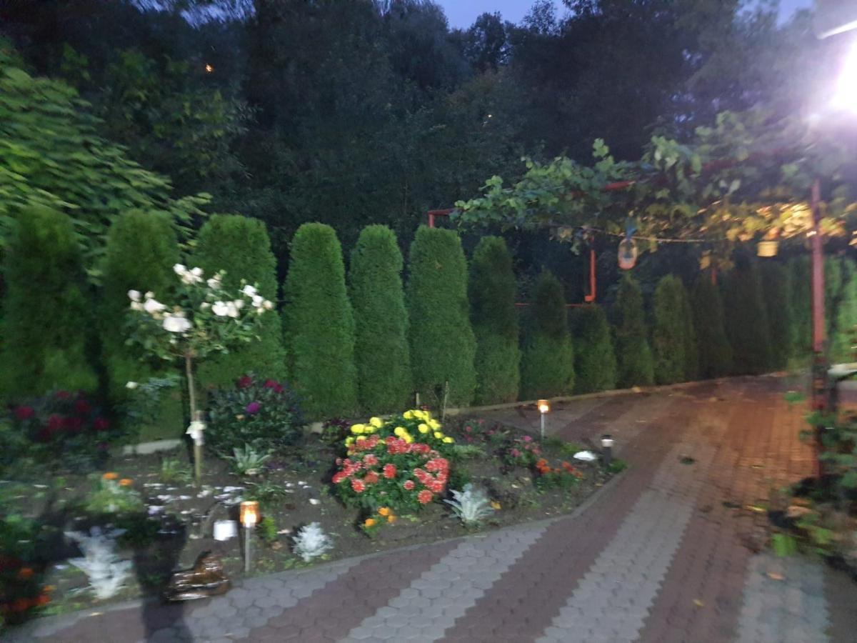 Апартаменти Casa Ella Сігішоара Екстер'єр фото