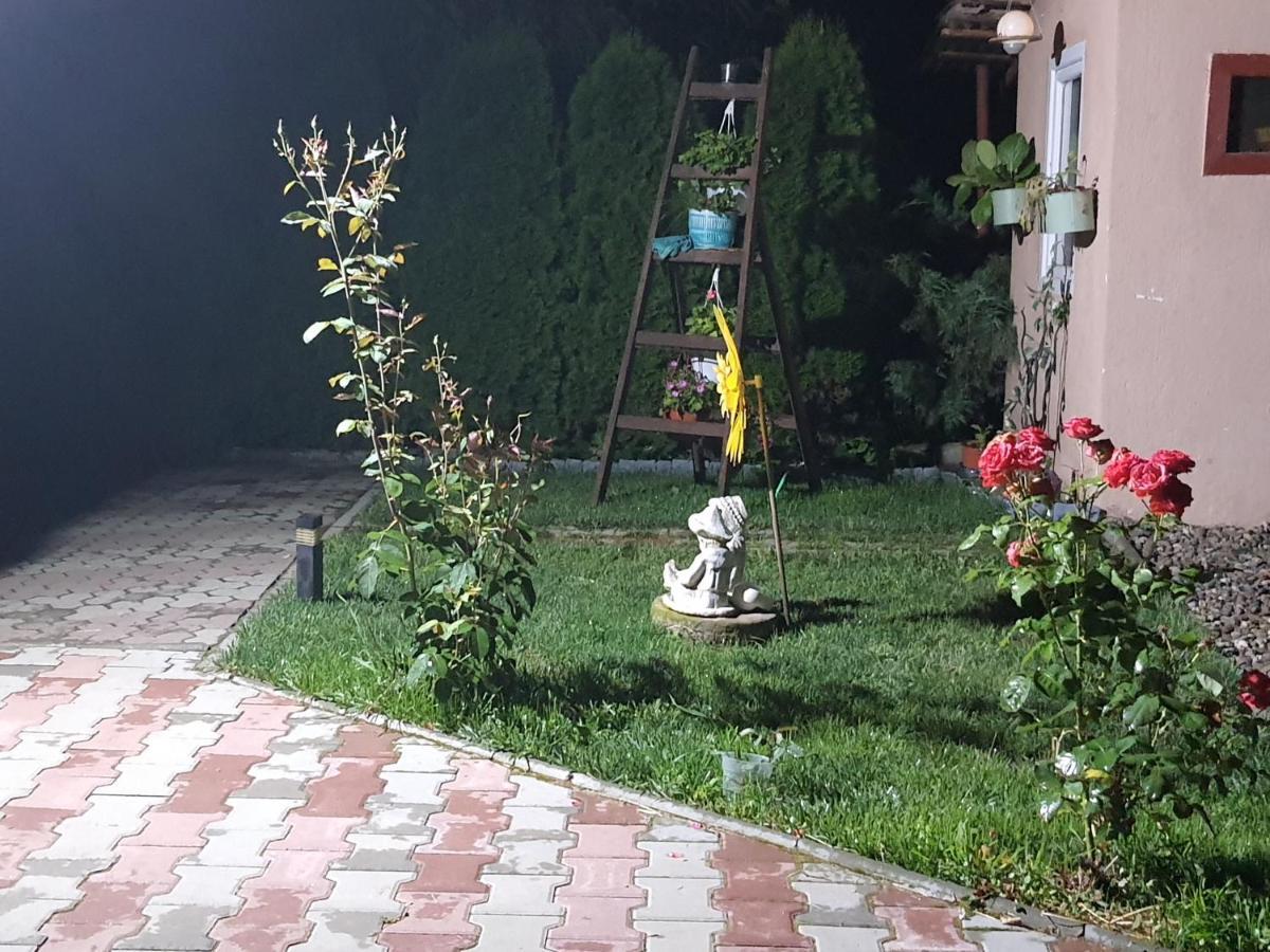 Апартаменти Casa Ella Сігішоара Екстер'єр фото